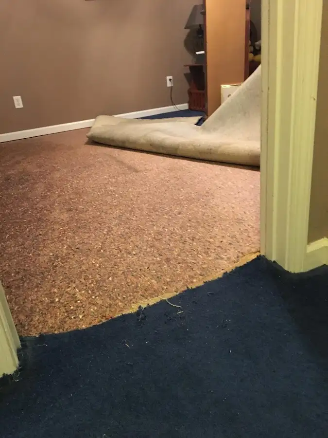 Carpet pad removal revealing water damage during Drying & Dehumidification in Hanover