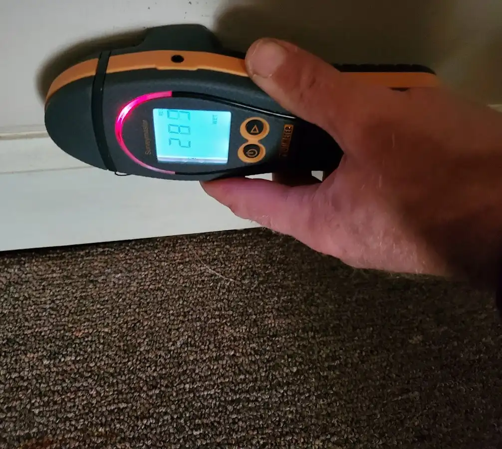 Moisture detection at baseboard during Sewage Cleanup & Sanitation in Hanover